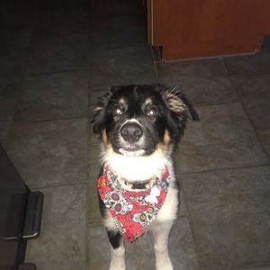 Meet your Posher, Chloe